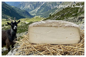 Tomme de Chèvre