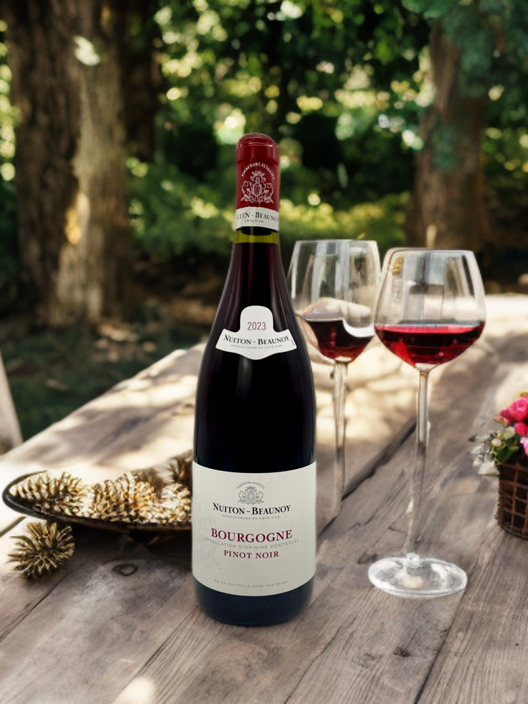 Bourgogne Pinot Noir Nuiton-Beaunoy 2023 Red