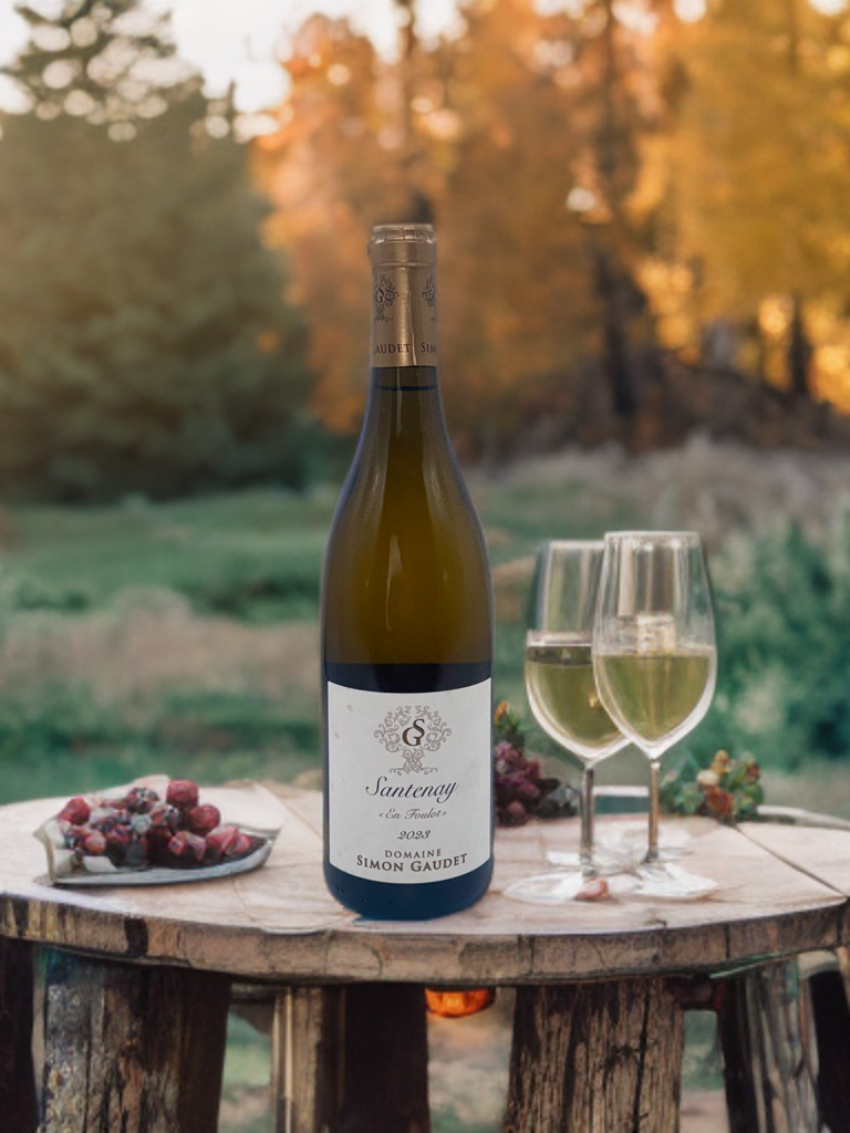 Bourgogne Santenay Gaudet 2023 White